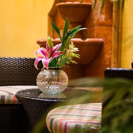 La Galeria By Bunik Hotel Плая дел Кармен Екстериор снимка