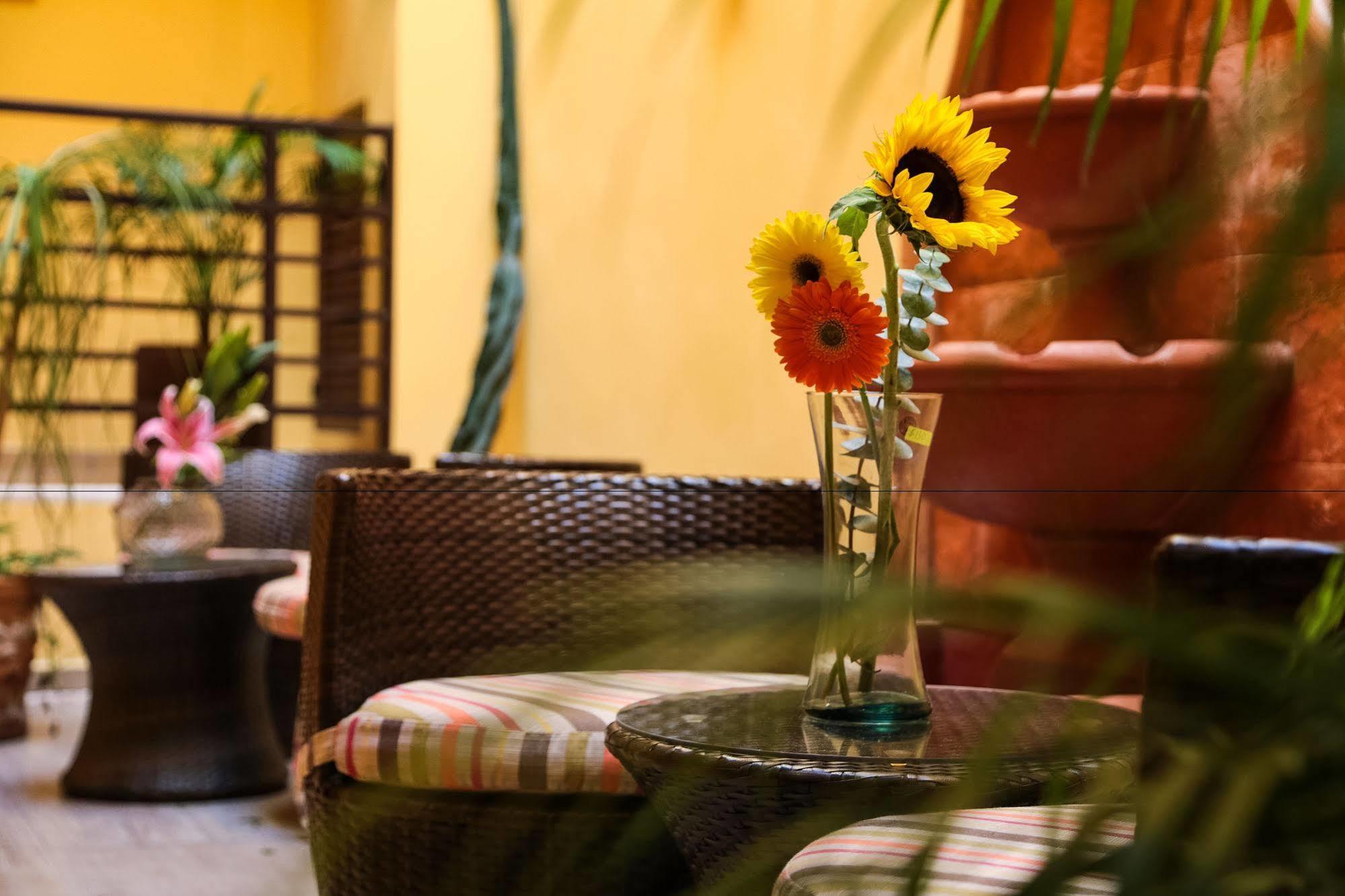 La Galeria By Bunik Hotel Плая дел Кармен Екстериор снимка